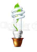 Luminous Bulb With Plant