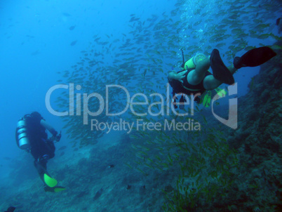 Taucher im Great Barrier Reef