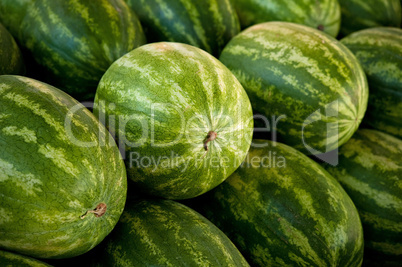 Close-Up of Watermelons