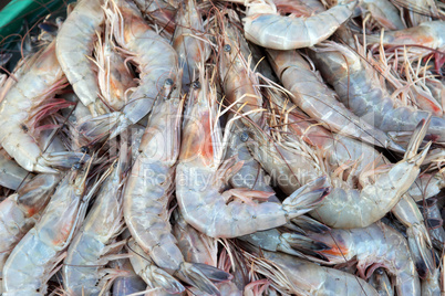 Shrimp fresh in Mexico market