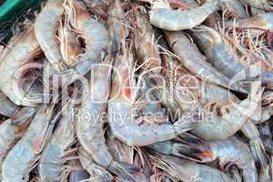 Shrimp fresh in Mexico market