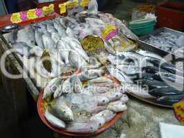 Fischmarkt in Langkawi