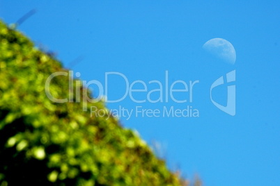 the moon