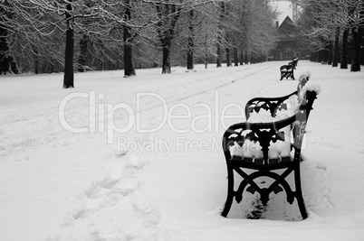 bench covered by snow