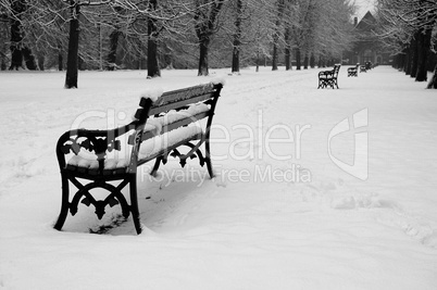 bench in park