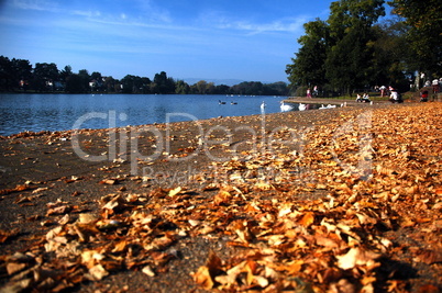 Roath lake