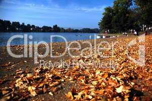 Roath lake