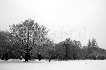 Bute park, Cardiff