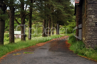 pen-y-fan trail