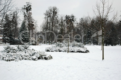 snowy karvina park
