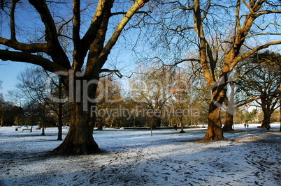 Cardiff park in winter