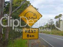 Wombat auf einem Schild in Tasmanien