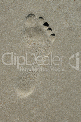 Footprint on beach.
