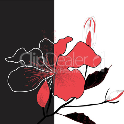 Contrast illustration with flower