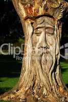 wooden tree sculpture