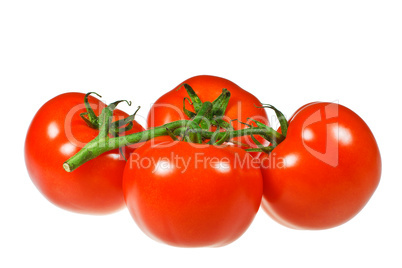 Tomaten