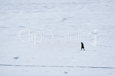 Walking on the ice