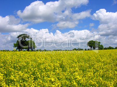 Himmel und Erde