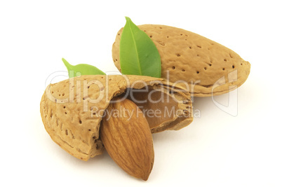 Almond with leaves