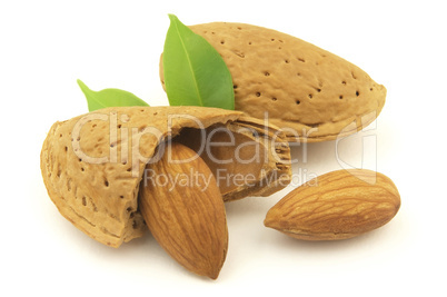 Almond and kernel