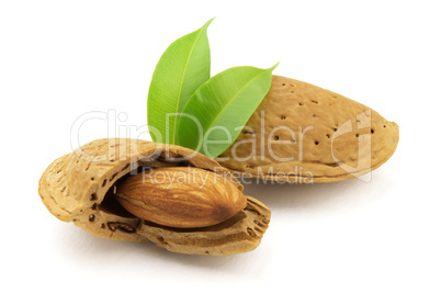 Almond