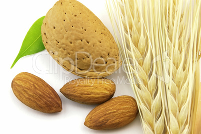 Almonds with wheat
