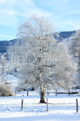 Winterlandschaft im Sonnenschein