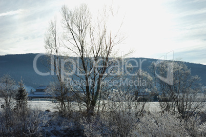 Winterlandschaft im Sonnenschein