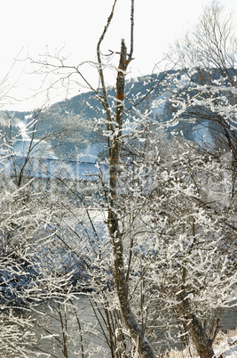 Winterlandschaft im Sonnenschein