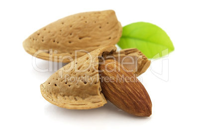 Almond