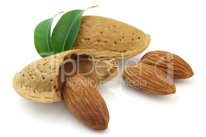 Almonds with leaves
