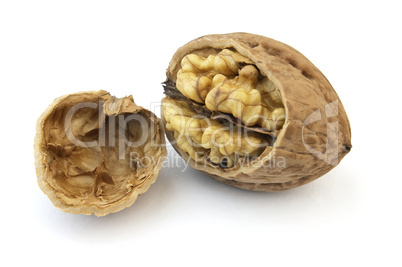 Walnut