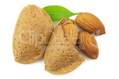 Fresh almond