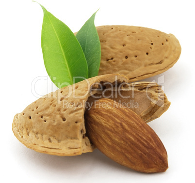 Almond Almond