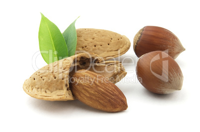 Almonds and hazelnuts