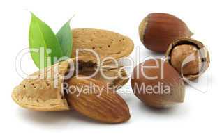 Hazelnuts and almond