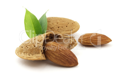 Almonds with leaves