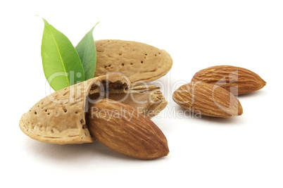 Almonds with leaves