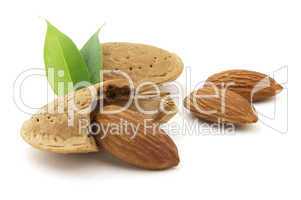 Almonds with leaves