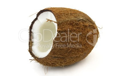 Coconut