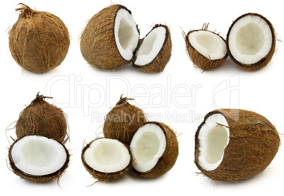 Coconut