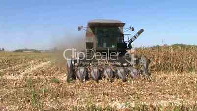 Combine Harvesting Corn 06