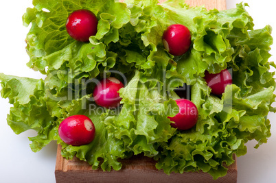 radish and salad