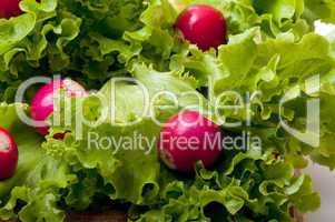 radish and salad