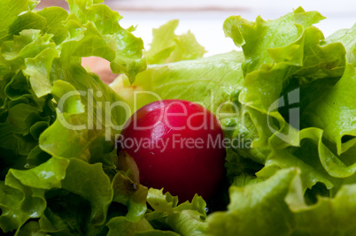 radish and salad