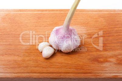 garlic