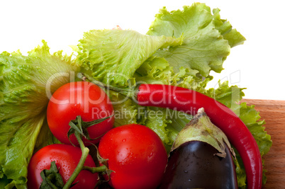 tomato and salad