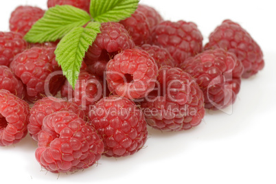 Himbeeren