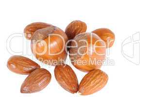 hazelnuts