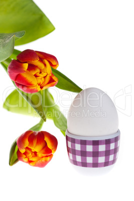 Eier und Tulpen im Frühling